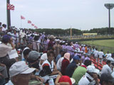 photo83sui
